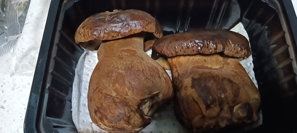 鸡枞菌羊肚菌牛肝菌牛蘑菇牛气登场