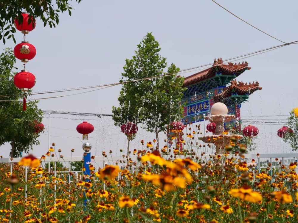 八批"全国民主法治示范村(社区)"名单,辛集市南智邱镇朗口村榜上有名