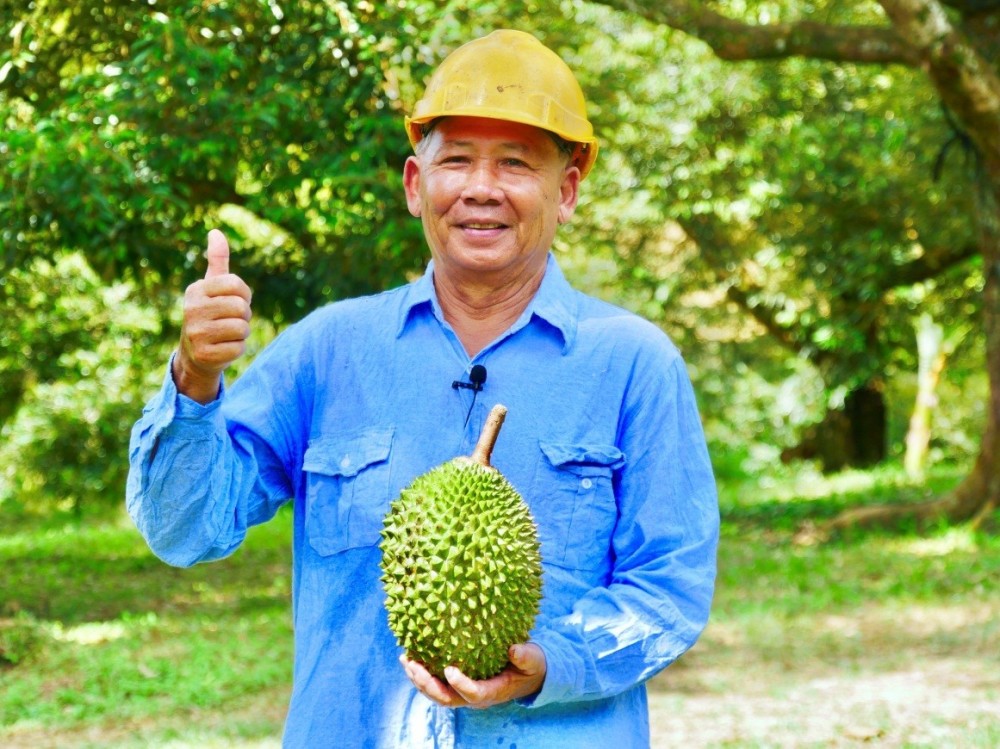 猫山王榴莲之父告诉你猫山王榴莲的由来 腾讯新闻
