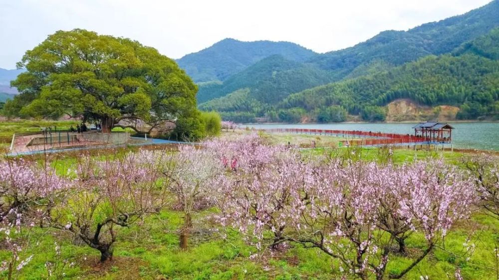 路后"桃花岛",位于建瓯市小松镇渔村村内小松溪畔,前临小松水库,背靠