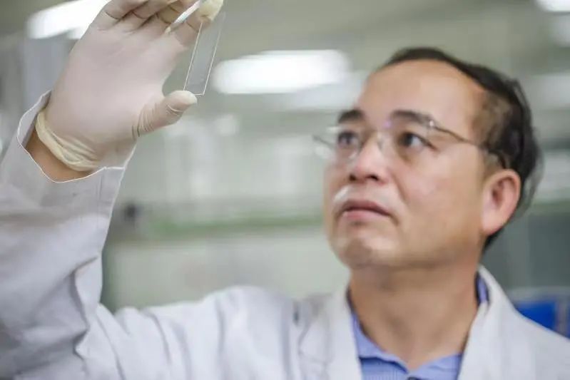 七年前,美籍华人科学家蔡伟文博士在火炬区创立中山康源基因技术科技