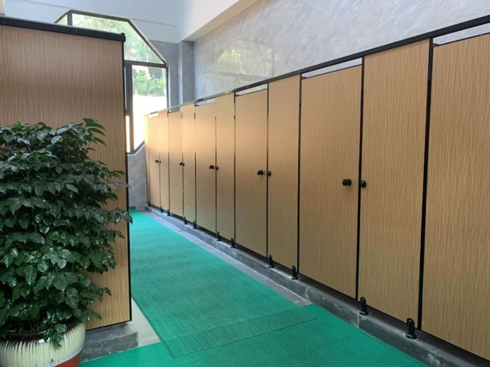 进入公厕内,里面有青翠的绿植,干净明亮的洗手台,洁净透亮的瓷砖墙