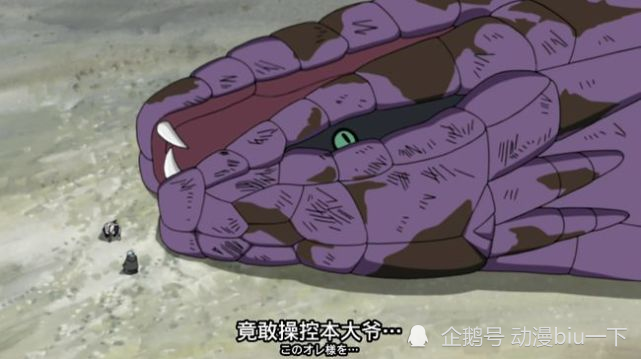 火影中混得最惨的通灵兽盘点同样都是通灵兽它们做错了什么