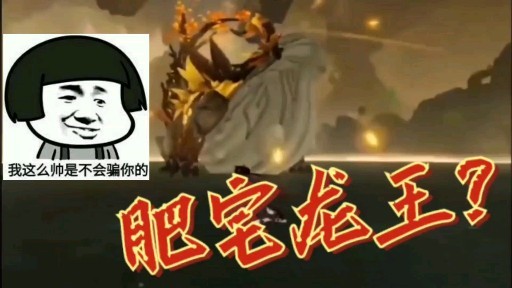 原神坨子哥你怎么了怎么变成肥宅龙王了