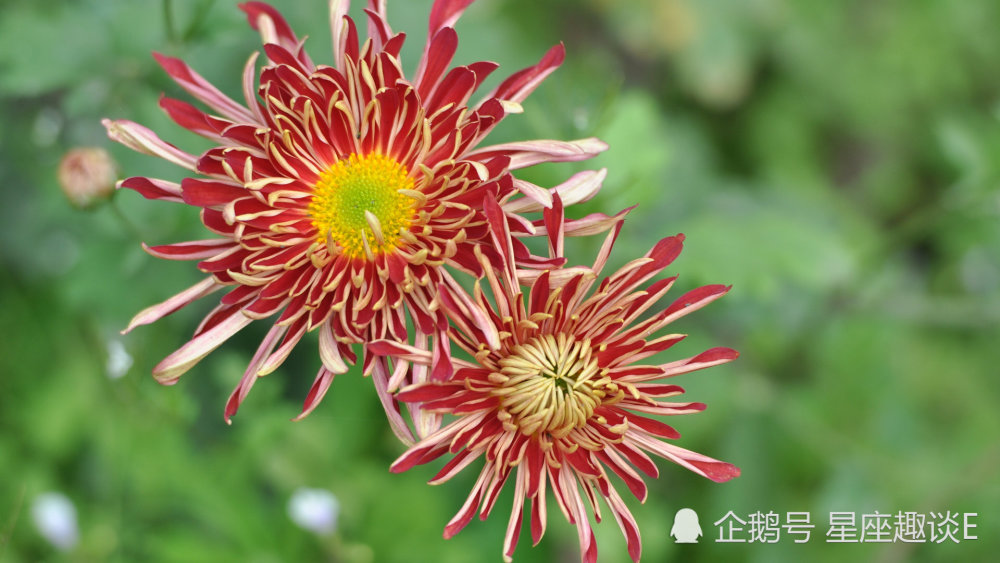 3月24日星座运势 集中精力 奋勇向前的四大星座 腾讯新闻