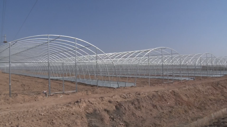 【春耕备耕】龙泉村新增54座大拱棚