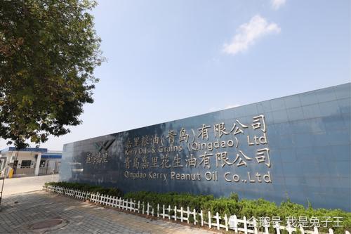 金龙鱼上海总部图片
