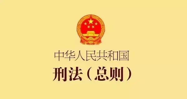 最新修訂,2021版刑法(總則編)|刑法|刑事責任年齡|全國人大