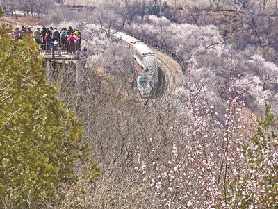 賞花海列車|觀景臺|開往春天的列車|列車|北京居庸關長城|棧道