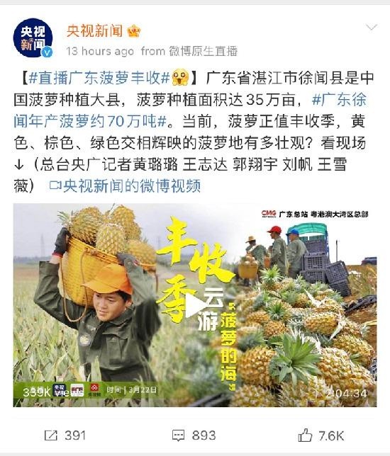 带网友云游徐闻 菠萝的海 腾讯新闻