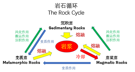 岩石循环——the rock cycle我们便称呼为(沉积岩,变质岩,岩浆岩相互