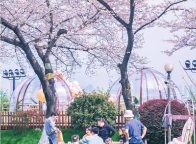 华春莹海外推介武汉 腾讯新闻