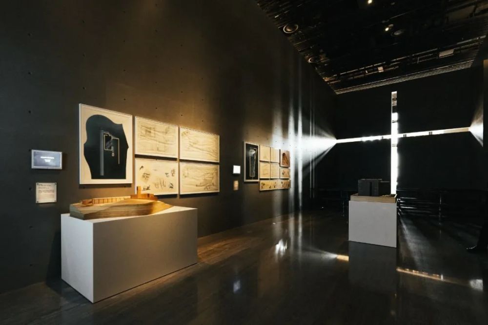 抢先剧透安藤忠雄国内大展明日来袭