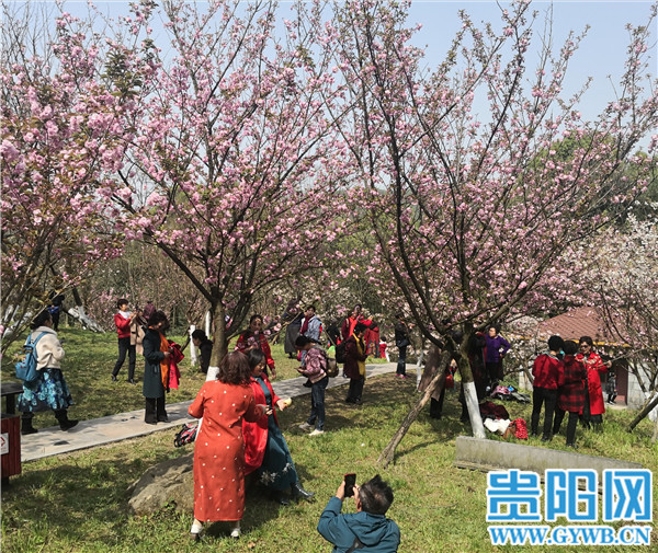 沙冲路植物园图片