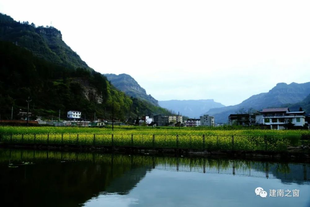 【大美建南】遇见最美春色,邂逅枫香坝油菜花开