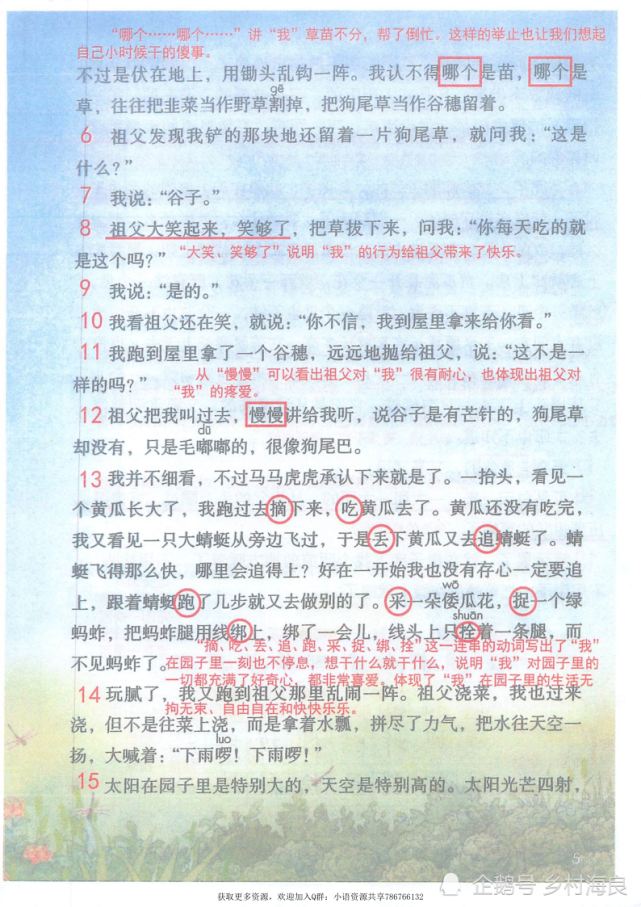 小学五年级语文2课《祖父的园子》课堂笔记,教案及练习题