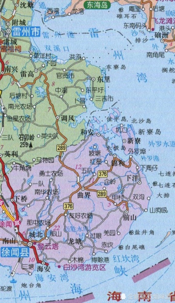 广东省湛江市徐闻县出产的菠萝占我国总产量的40是著名的菠萝之乡