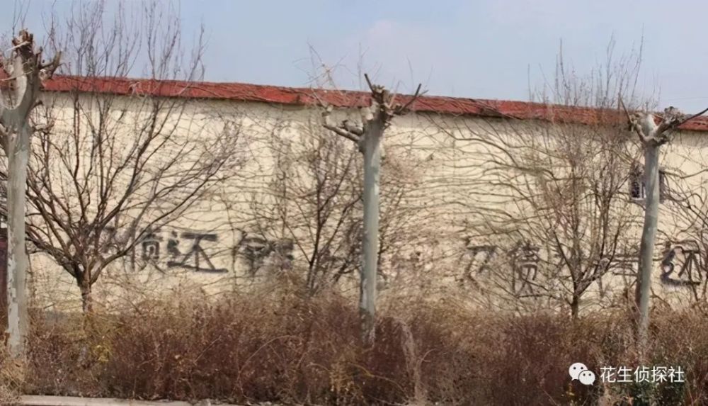 山东黑老大任虹郡:把人打进抢救室,还搬棺材堵门逼债