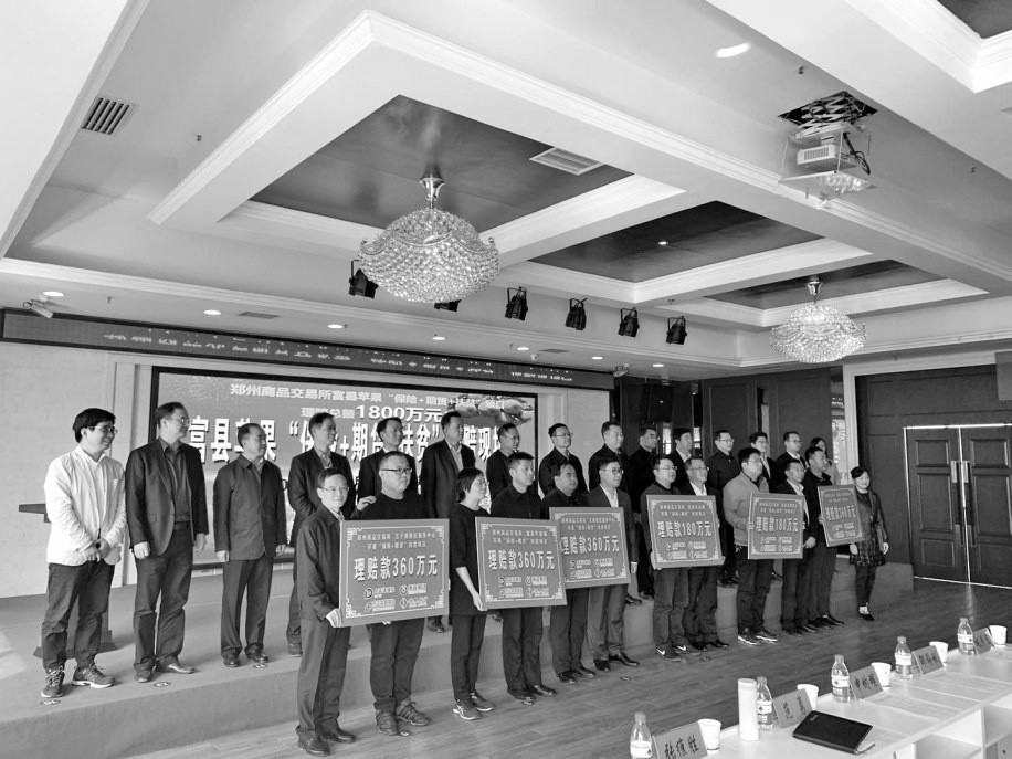 家住富县羊泉镇立石村的果农雷亚琴忙着在自家的9亩果树上爬上爬下