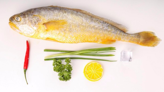 弄清楚这两点不同,轻松分辨黄鱼和黄花鱼|黄花鱼|黄姑鱼|小黄花鱼