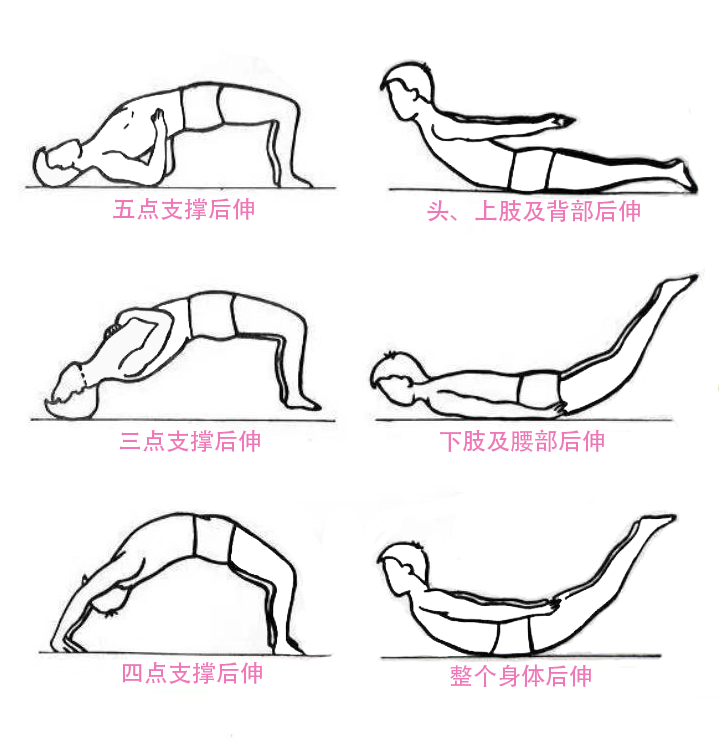漫画腰挑战被打脸医生过度腰部后伸有风险科学护腰试试这些动作