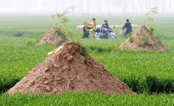 俗语:坟无头子孙穷,狐守坟富三67辈67,这是什么道理?_腾讯新闻