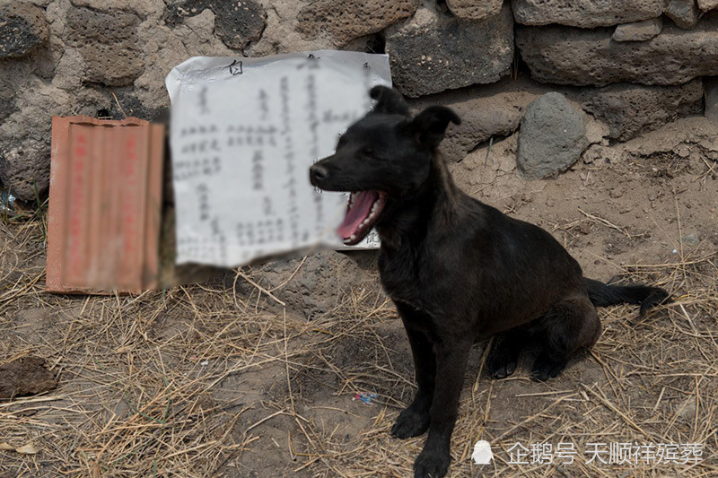 家里有老人去世不能去别人家吗 腾讯新闻