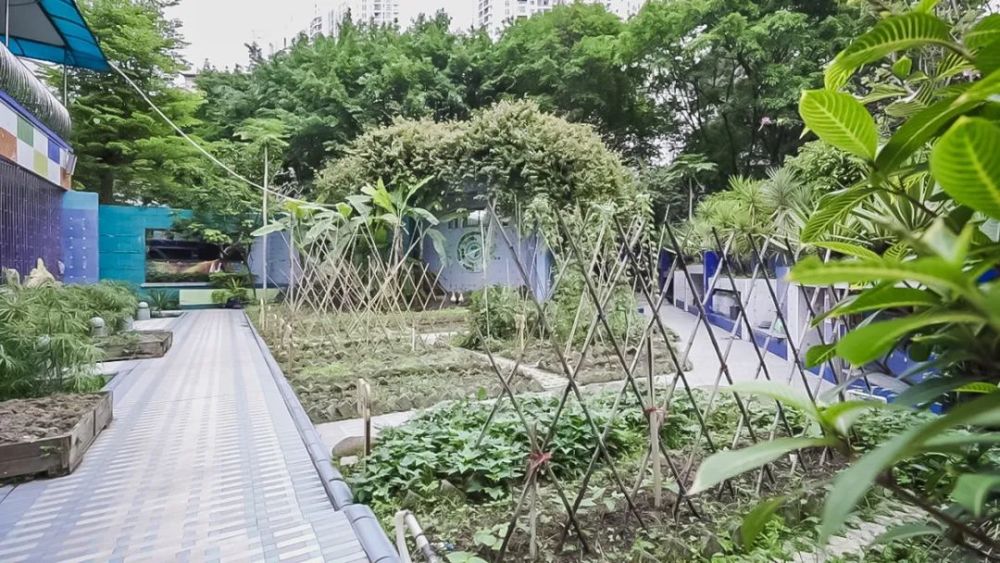 都市菜园(都市菜园具体地址)