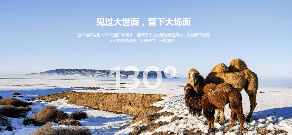 类似大河像素的网站推荐_类似大河像素的网站推荐