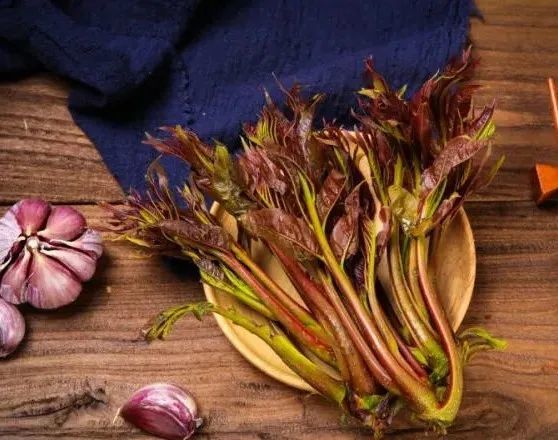 春分饮食养生篇 美味春菜吃起来_腾讯新闻