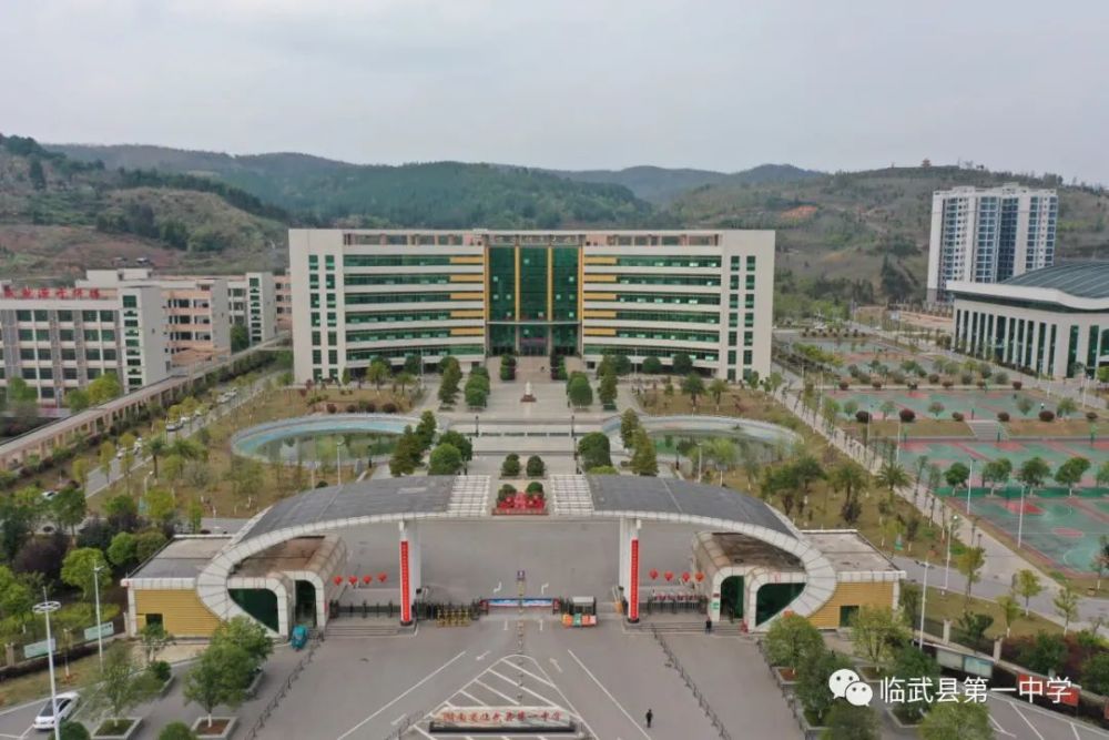 湖南省临武县第一中学招聘教师公告