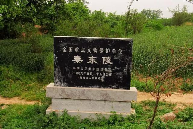 芈月墓出土奇珍异宝数不清历史上的宣太后究竟有多牛