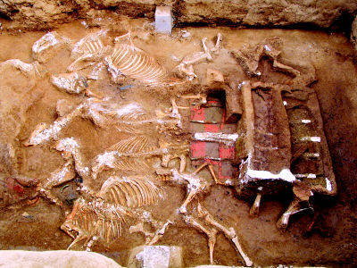 芈月墓出土奇珍异宝数不清历史上的宣太后究竟有多牛