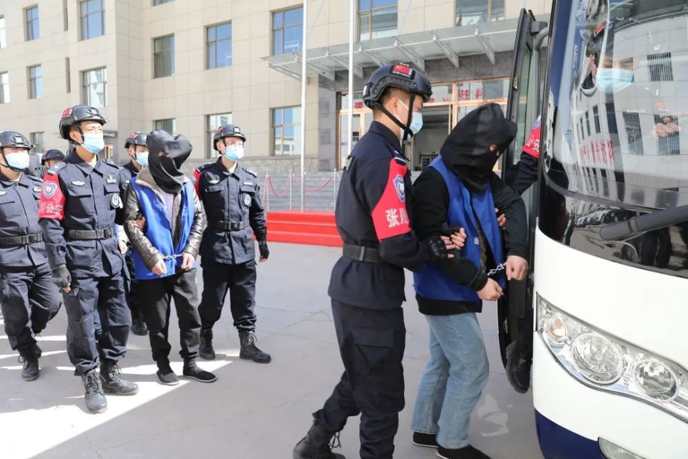 张家川特大团伙系列盗窃案收网_腾讯新闻