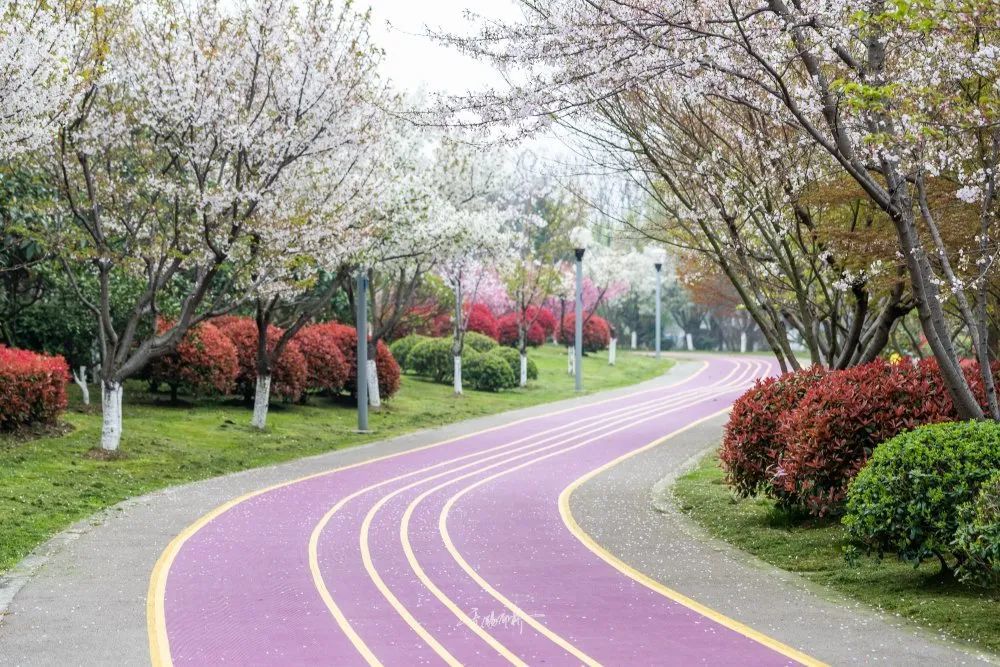 奔跑其中 宛如「人在画中跑」它也是今年锡马其中的一段跑道哦另外