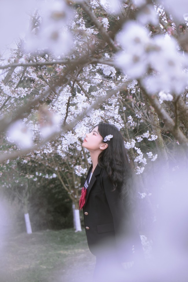 jk:樱花和女孩真是完美搭配