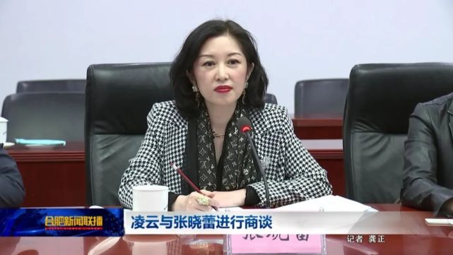 凌云与张晓蕾进行商谈(视频)