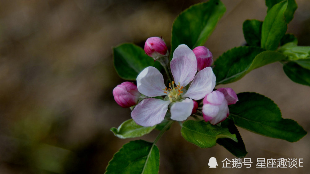 3月25日星座运势 贵人相助 底气十足的四大星座 腾讯新闻