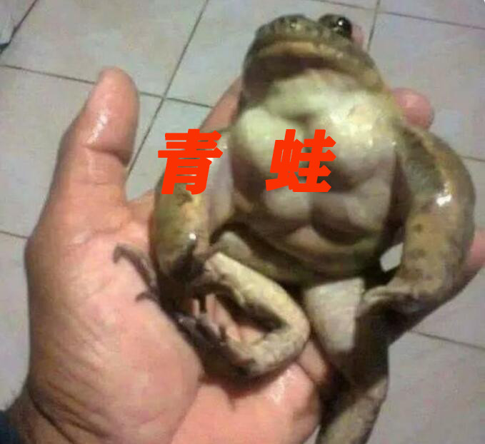 动物界也有肌肉佬青蛙都练出了8块腹肌你有什么资格不努力