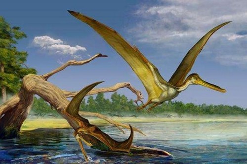 1864年美军击落一条远古翼龙两翼达12米并拍下照片无ps痕迹