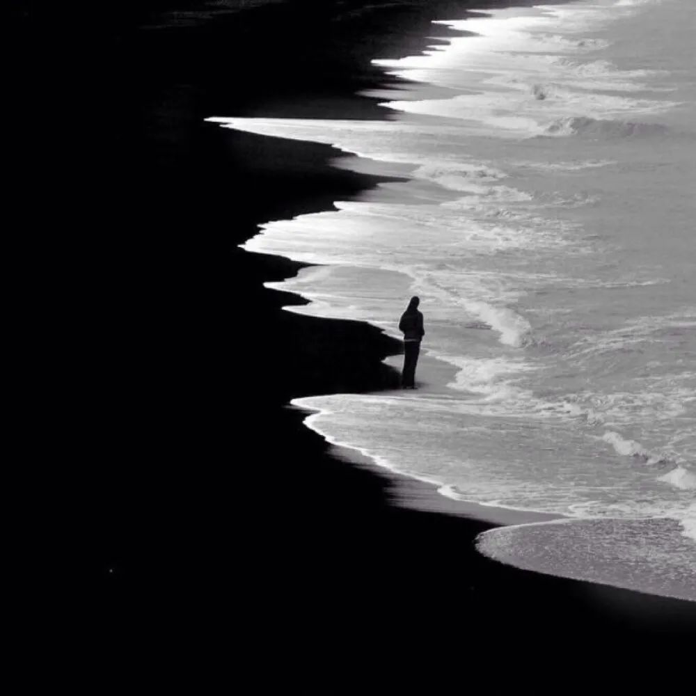 季节交换 好多人忘记好多人|黑白系背景图