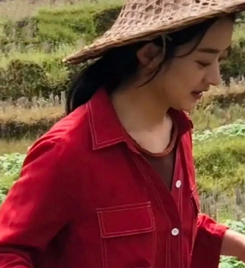 赵丽颖干农活路透照她扛着锄头干活姿势熟练颖宝苦中作乐很开心