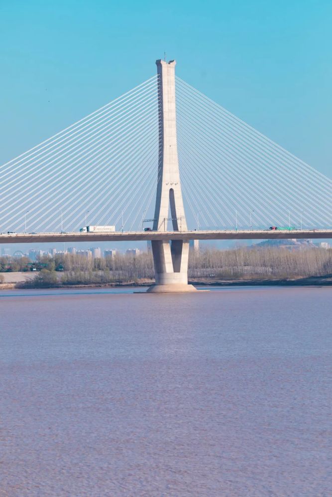 医学大道跨黄河大桥图片