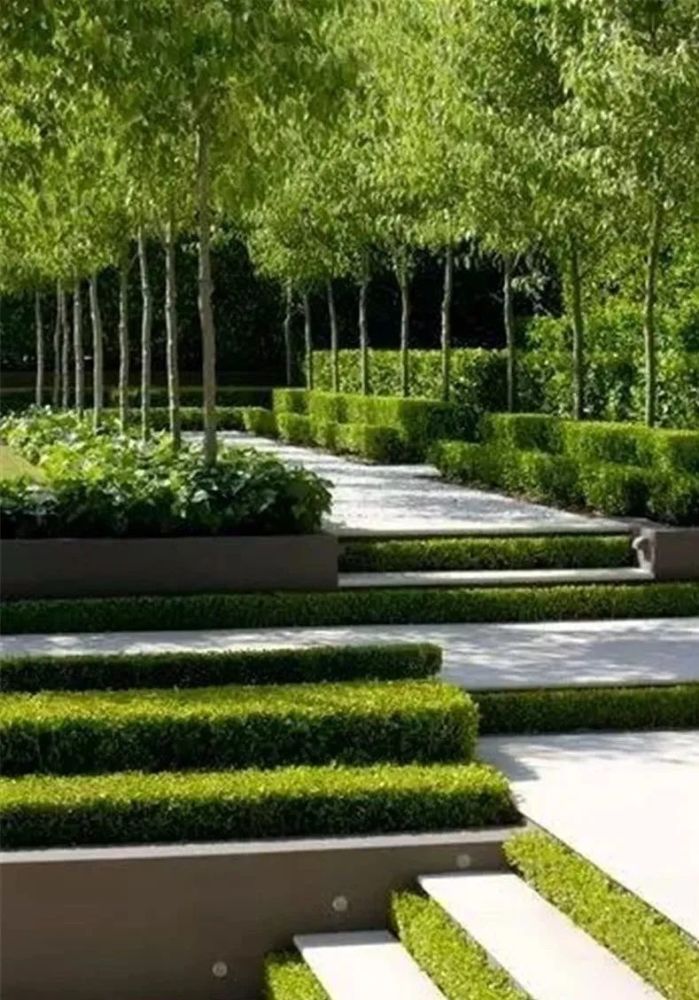 6大风格庭院,植物配置这样做就够了