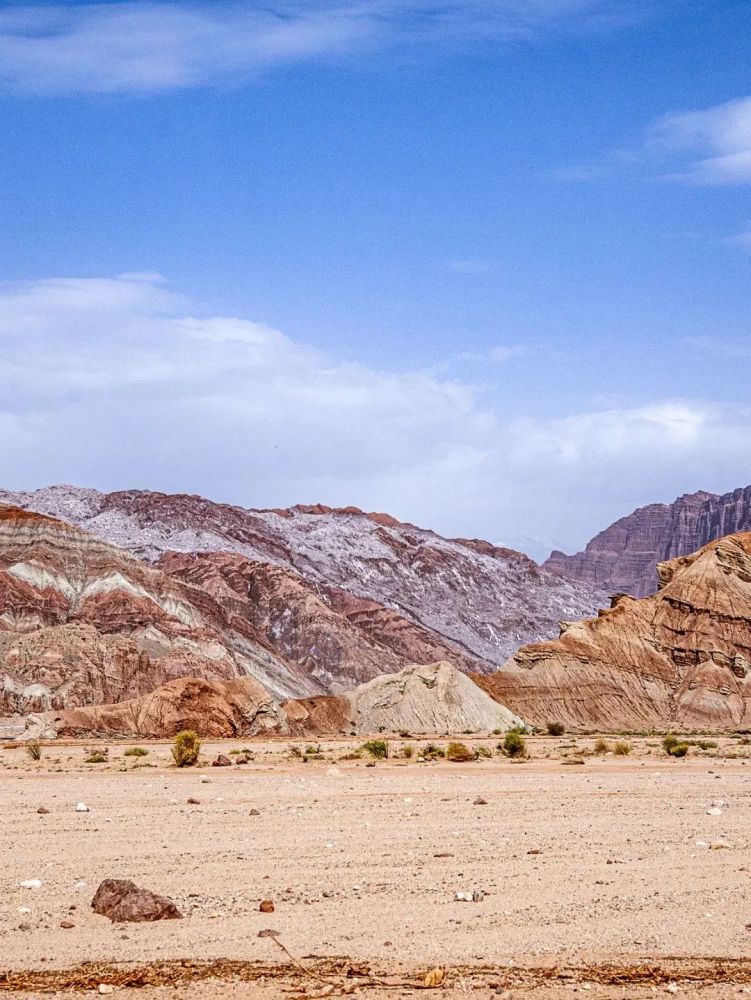 读城尼雅绿洲废弃的地震假说