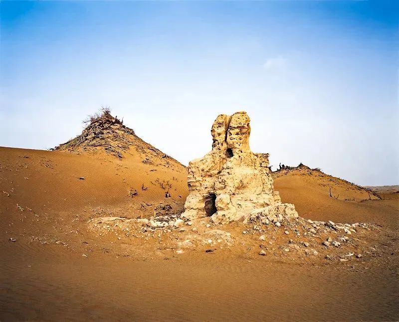 读城尼雅绿洲废弃的地震假说