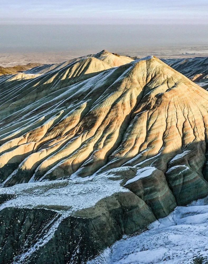 读城尼雅绿洲废弃的地震假说