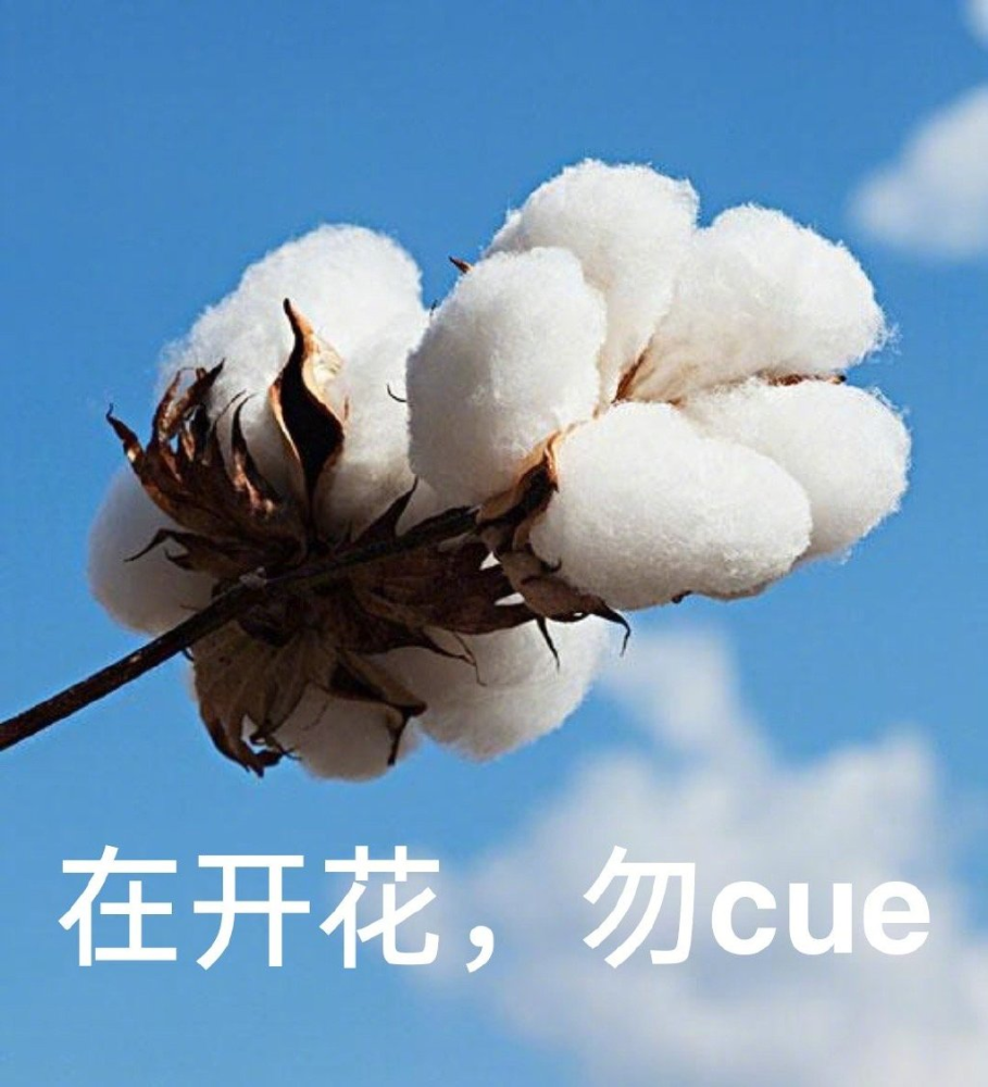 王一博方终止与nike合作宋茜黄轩告别hm棉花事件持续发酵