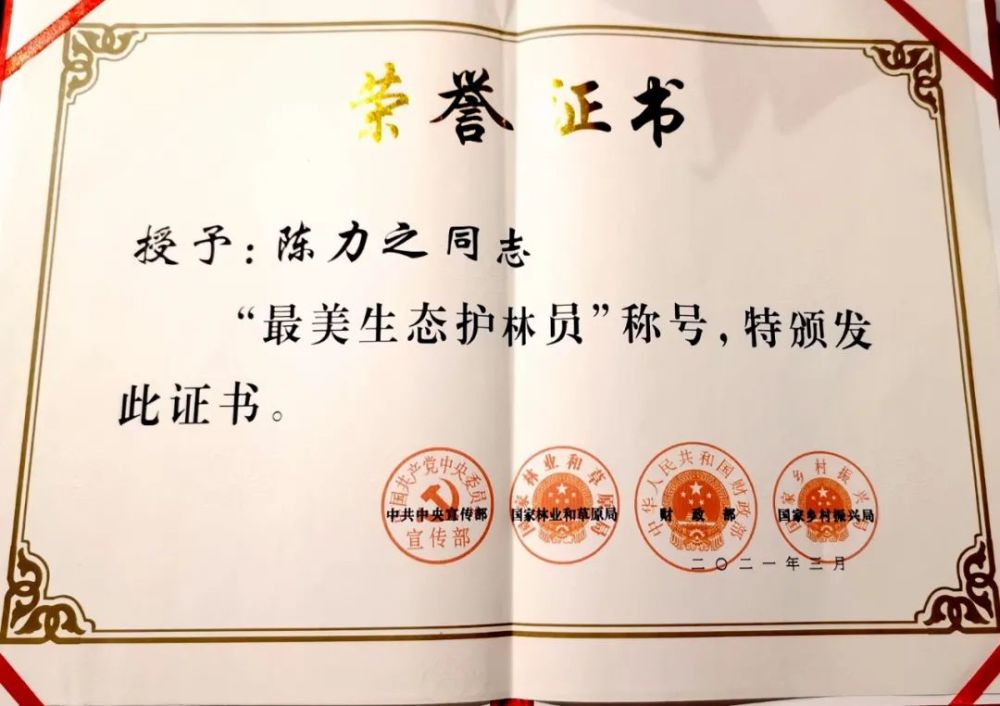 【点赞】遵义这位90后荣获全国"最美生态护林员"称号_腾讯新闻