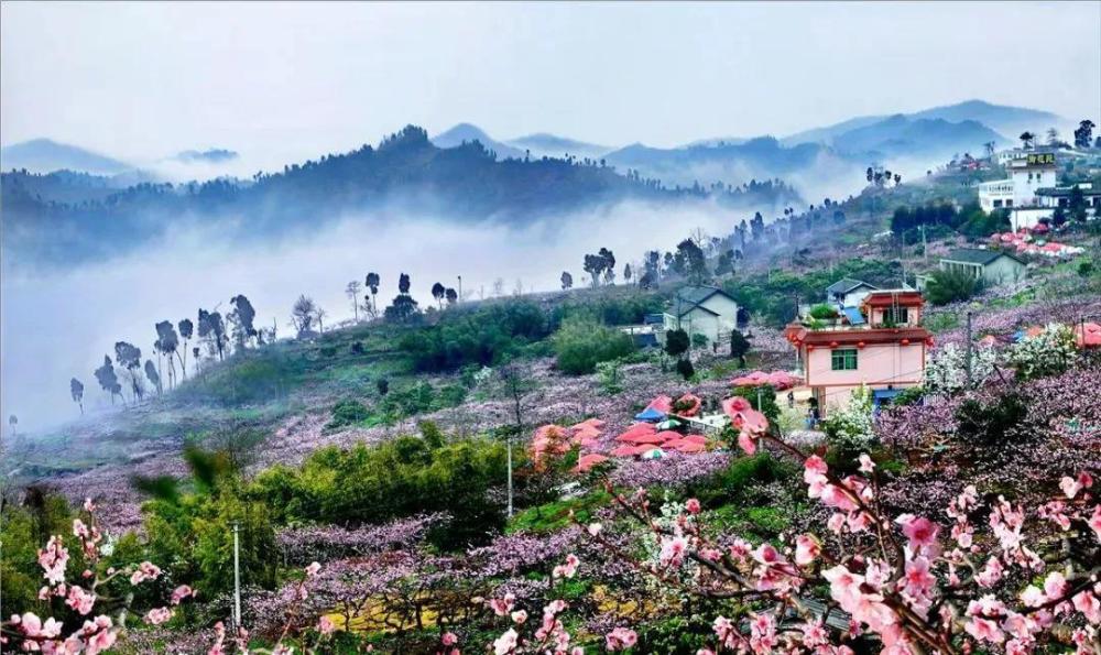 成都周边特色乡村旅游图片